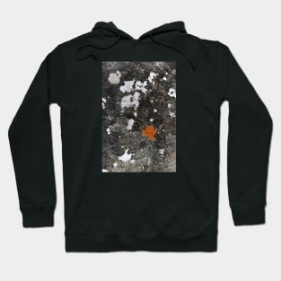 Seaside Fungi Growth On Rock Surface - Alternative Hoodie